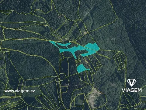Prodej podílu lesa, Janová, 1920 m2