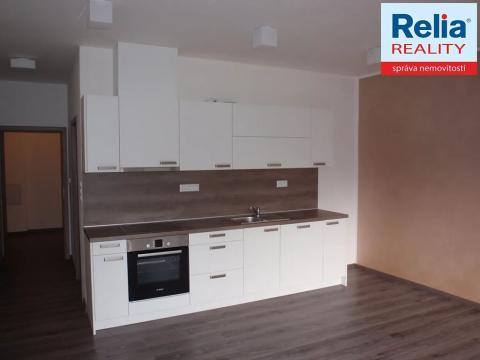 Pronájem bytu 2+kk, Liberec, Riegrova, 52 m2