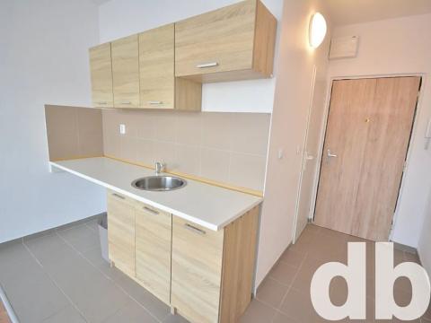 Pronájem bytu 1+kk, Nové Sedlo, Sadová, 20 m2