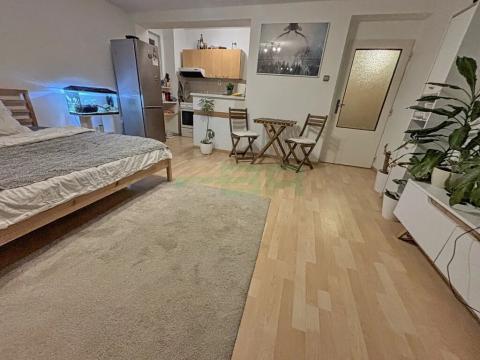 Pronájem bytu 1+kk, Praha - Krč, Lukešova, 42 m2