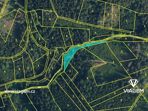 Prodej podílu lesa, Vysoké nad Jizerou, 742 m2