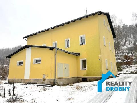 Pronájem bytu 1+1, Děčín, Družstevní, 42 m2