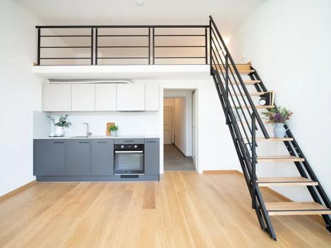 Pronájem bytu 1+kk, Praha - Žižkov, Jeronýmova, 30 m2