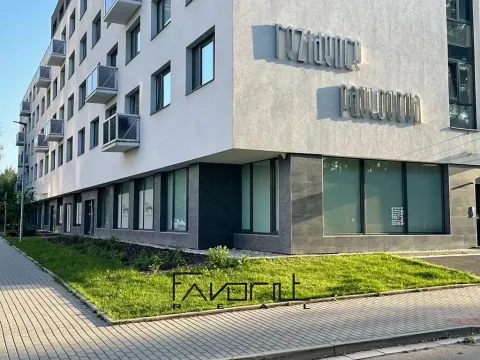 Pronájem bytu 4+kk, Ostrava, Pavlovova, 100 m2