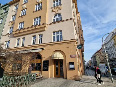 Pronájem bytu 3+kk, Praha - Bubeneč, Veletržní, 110 m2