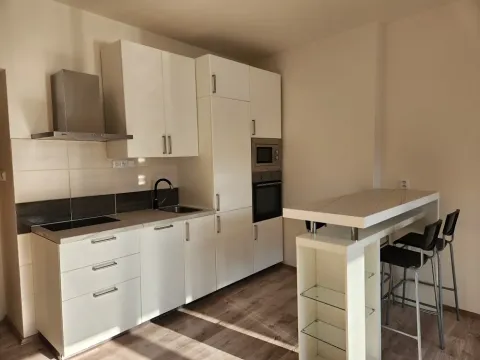 Pronájem bytu 2+kk, Praha - Žižkov, Basilejské náměstí, 59 m2