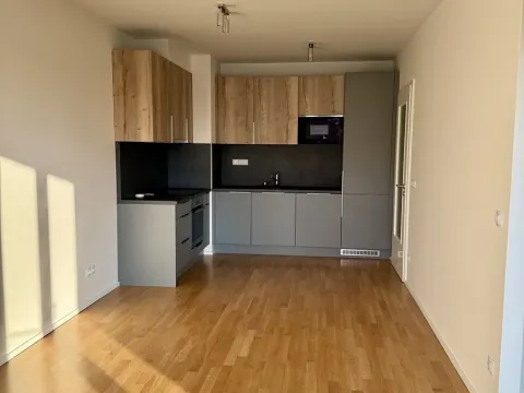 Pronájem bytu 2+kk, Praha - Žižkov, U Viktorie, 43 m2