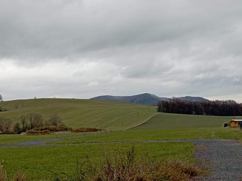 Prodej pozemku, Tichá, 1804 m2