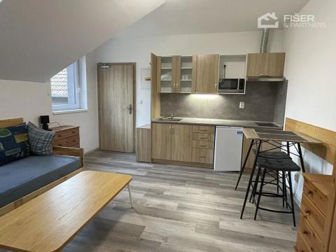 Pronájem apartmánu, Světice, K Dálnici, 35 m2