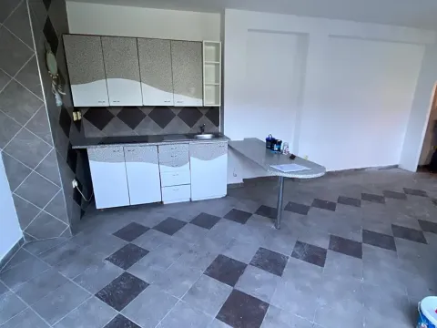 Pronájem bytu 1+kk, Opava, Pivovarská, 40 m2