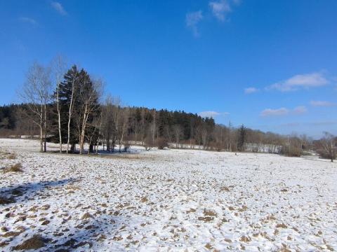 Prodej zahrady, Strašín - Maleč, 3552 m2