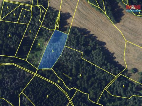 Prodej lesa, Pernštejnské Jestřabí - Maňová, 11616 m2