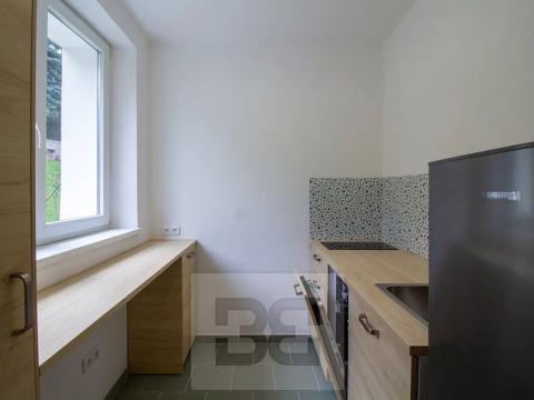 Pronájem bytu 1+1, Praha - Podolí, Břidličná, 34 m2