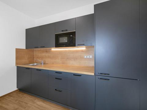Pronájem bytu 1+kk, Zruč-Senec - Zruč, Sportovní, 62 m2