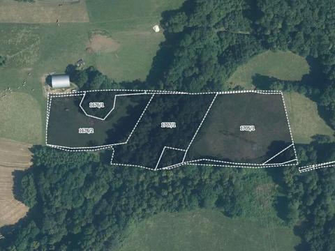 Prodej louky, Nový Jičín, 21251 m2