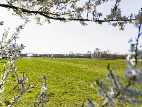 Prodej komerčního pozemku, Pardubice, 11061 m2