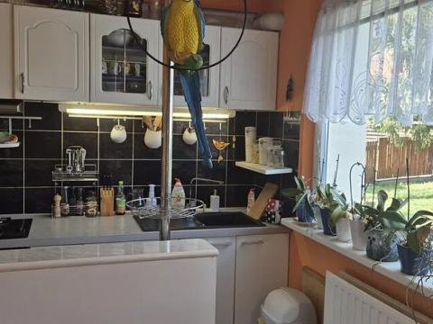 Prodej bytu 3+1, Česká Lípa, Újezd, 77 m2