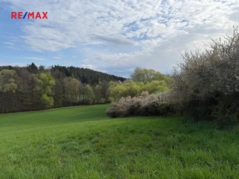 Prodej louky, Křečovice, 24025 m2