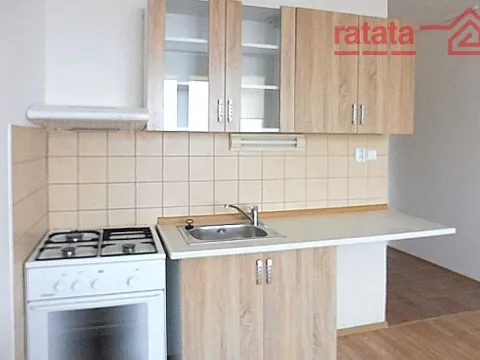Pronájem bytu 1+1, Chomutov, Zahradní, 35 m2