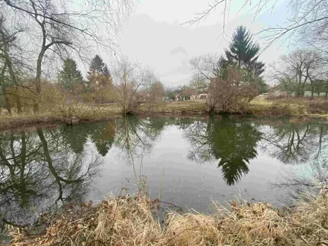 Dražba pozemku, Písečné, 1097 m2