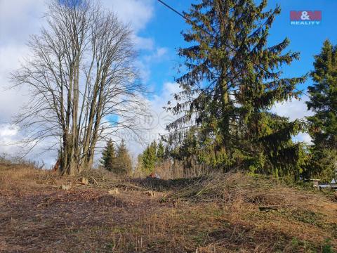 Prodej pozemku pro bydlení, Norberčany - Nová Véska, 1156 m2