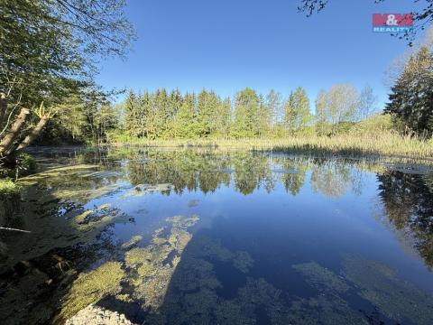 Prodej rybníku, Rychnov nad Kněžnou - Lipovka, 5965 m2