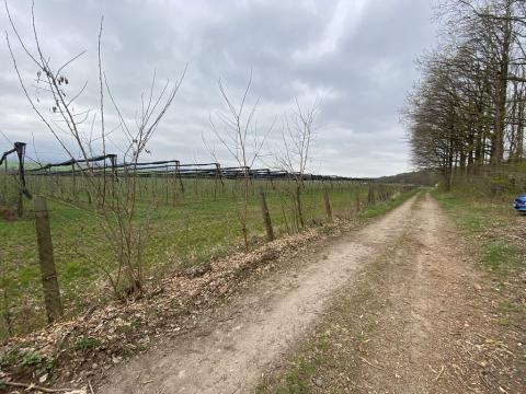 Prodej lesa, Bílé Podolí, 5201 m2