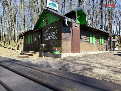 Pronájem restaurace, Orlová - Lutyně, Modřínová, 330 m2