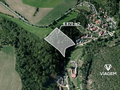Prodej podílu lesa, Chlum, 936 m2