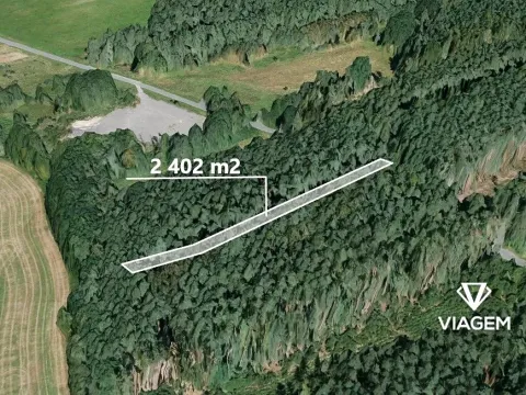 Prodej lesa, Nekmíř, 2402 m2