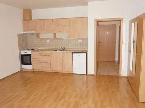 Pronájem bytu 1+kk, Brno, Trýbova, 35 m2