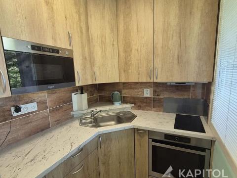 Pronájem bytu 1+kk, Praha - Michle, Mezipolí, 26 m2