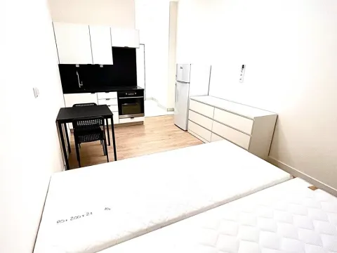 Pronájem bytu 1+kk, Praha - Hloubětín, Poděbradská, 27 m2