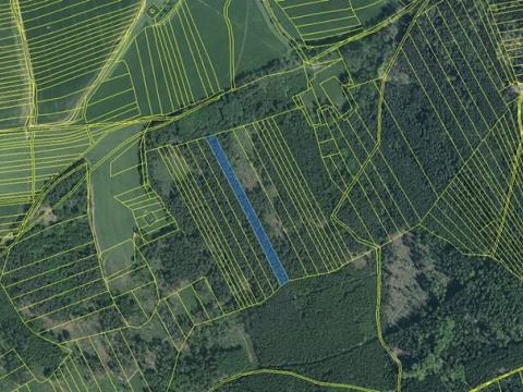 Prodej lesa, Hradiště, 5650 m2