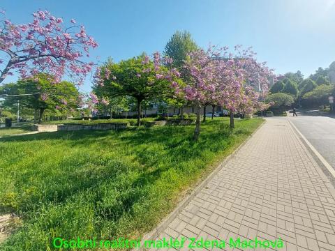 Pronájem bytu 3+kk, Praha - Modřany, U Domu služeb, 223 m2
