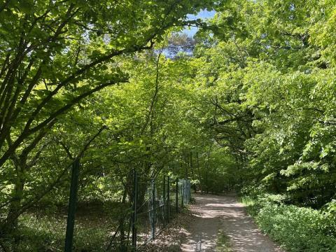 Pronájem sadu/vinice, Praha - Točná, Ke starému hřišti, 3842 m2