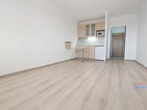 Pronájem bytu 1+kk, Ostrava, Na Obvodu, 27 m2