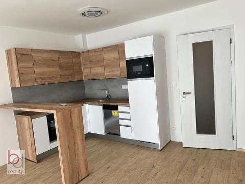 Pronájem bytu 1+kk, České Budějovice, Chelčického, 47 m2