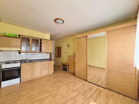 Pronájem bytu 1+kk, České Budějovice, Dobrovodská, 21 m2