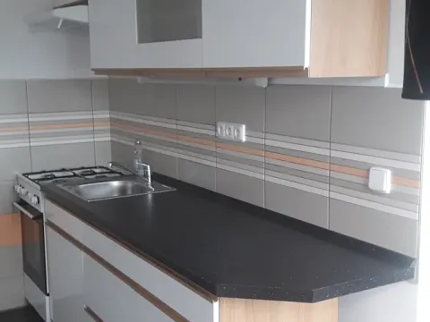 Pronájem bytu 1+1, Plzeň, Železničářská, 40 m2