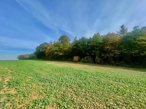 Prodej pole, Praha, Na Padesátníku I, 24066 m2