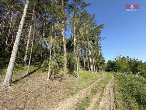 Prodej lesa, Milešov, 23184 m2