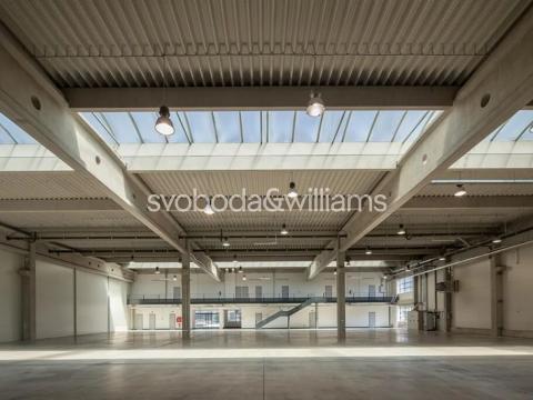 Pronájem výrobních prostor, Ostrava, Na Rovince, 4890 m2
