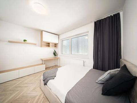Pronájem bytu 1+kk, Brno, Cejl, 26 m2