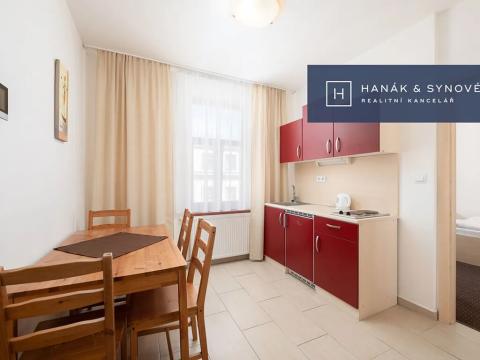 Pronájem bytu 1+1, Brno, Anenská, 25 m2