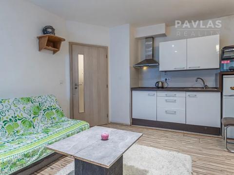Prodej bytu 1+kk, Dobrá Voda u Českých Budějovic, Lázeňská, 25 m2