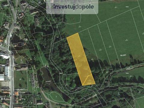 Prodej louky, Nové Mitrovice, 5700 m2