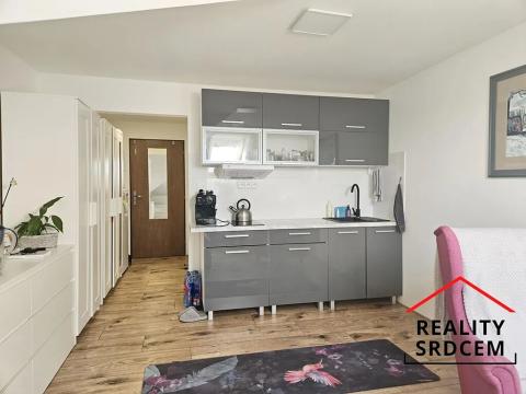 Pronájem bytu 1+kk, Skotnice, 29 m2