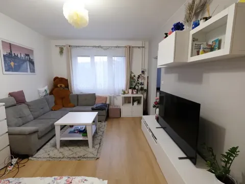 Pronájem bytu 1+1, Uherský Brod, Družstevní, 38 m2