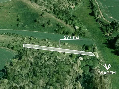Prodej lesa, Bošovice, 577 m2